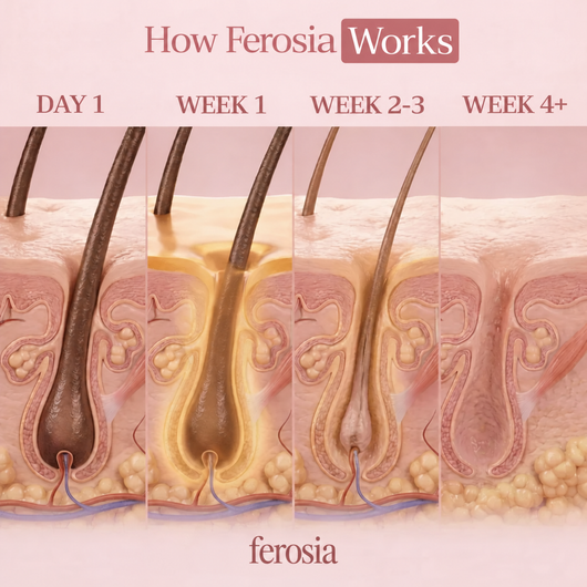 Ferosia™ Cyperus Rotundus Oil