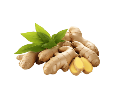 Ginger Root Extract (100mg)
